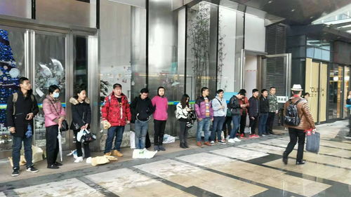 虹口区嘉兴路劳务派遣公司 专业人力资源服务与劳务解决方案