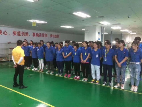 黄浦静安区劳务派遣与外包服务 专业化保洁与劳务管理新趋势